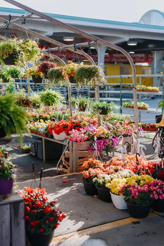 Finding Your Fit: An In-Depth Look at Urban Gardening Strategies