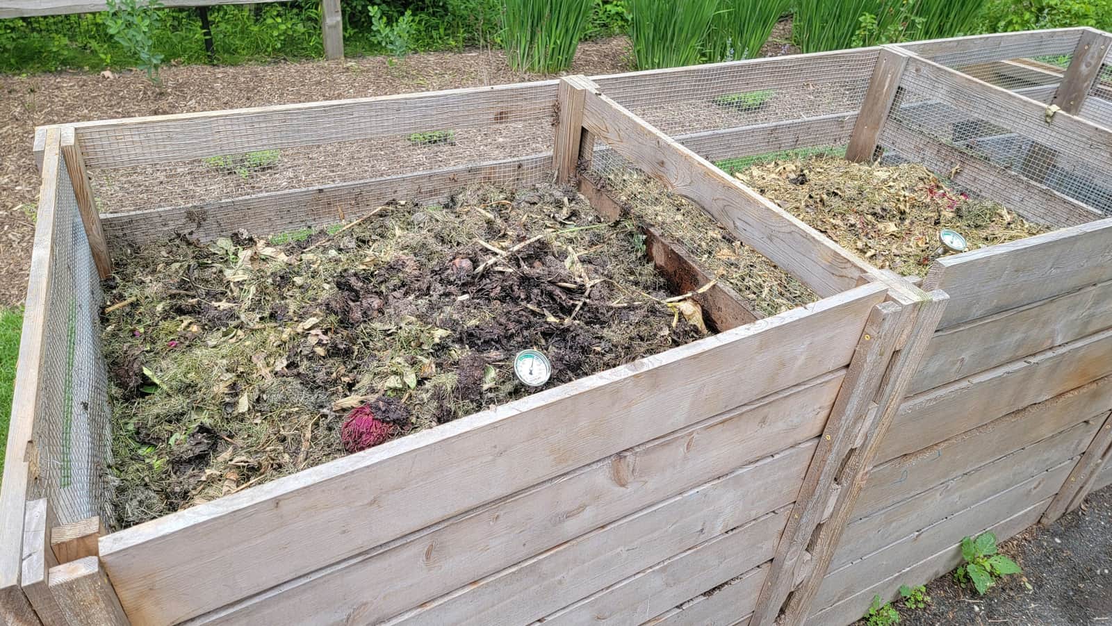 Understanding the Basics of Successful Home Compost Systems